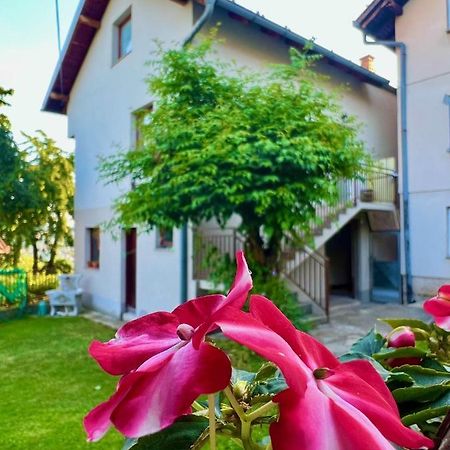 Apartman Amila SJJ Exterior foto